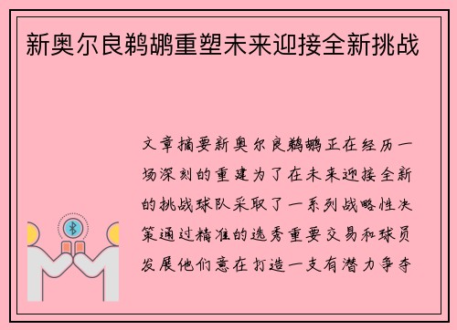 新奥尔良鹈鹕重塑未来迎接全新挑战
